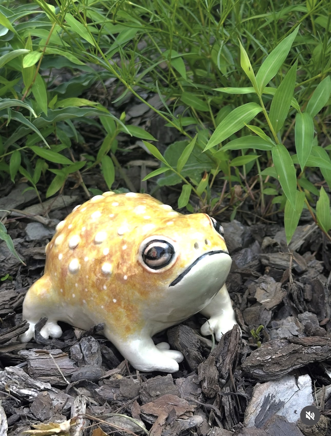 A hand-built, glazed ceramic toad with a marigold-and-amber speckled body, creamy white belly, raised white warts, and big black-rimmed eyes, sitting on dark bark surrounded by green foliage.